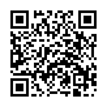 qr play store